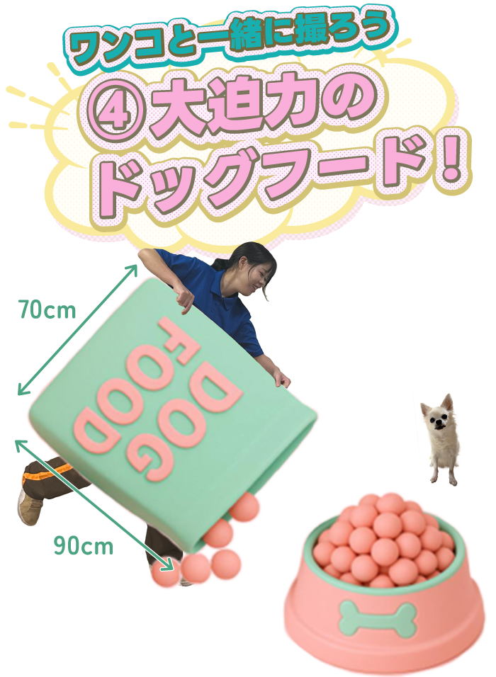 ④大迫力のドッグフード