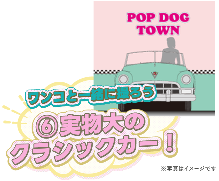 ➅実物大のクラシックカー！