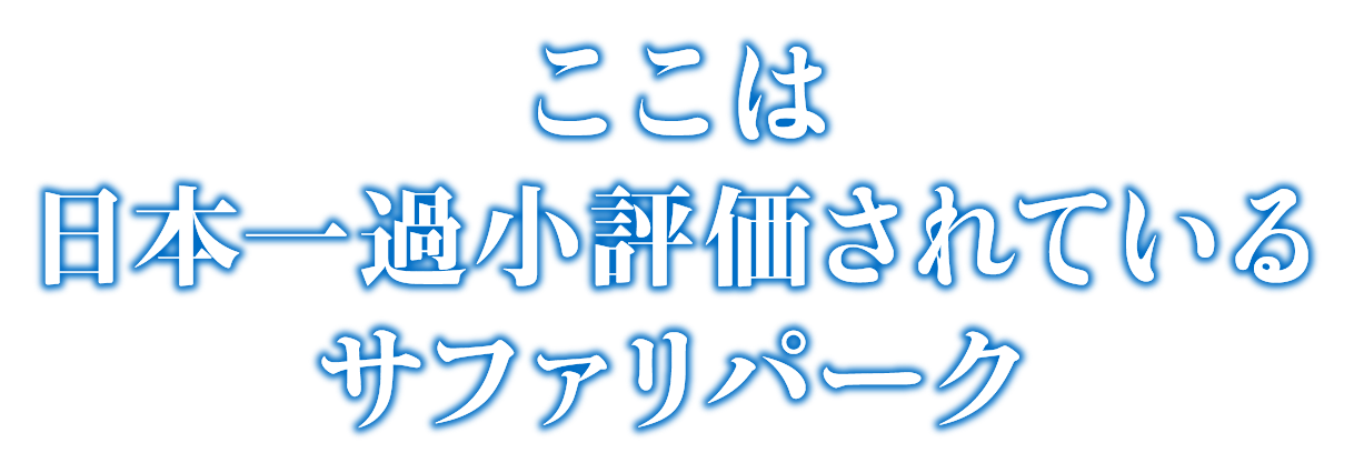 ここは日本一過小評価されているサファリパーク