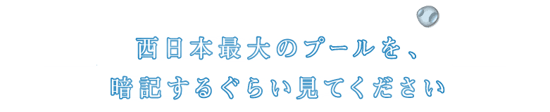 西日本最大のプールを、暗記するぐらい見てください