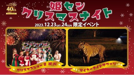 クリスマスビンゴでクリスマスプレゼントGET！