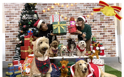 クリスマスビンゴでクリスマスプレゼントGET！