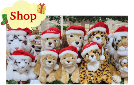Shop クリスマス限定商品