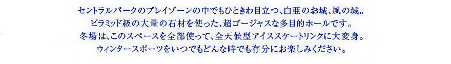 セントラルパークのプレイゾーンの中でもひときわ目立つ、白亜のお城、風の城。ピラミッド級の大量の石材を使った、超ゴージャスな多目的ホールです。冬場は、このスペースを全部使って、全天候型アイススケートリンクに大変身。ウィンタースポーツをいつでもどんな時でも存分にお楽しみください。