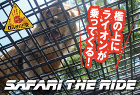 キリンやトラが大接近!檻の上にライオンが乗ってくるかも!?SAFARI THE RIDE-サファリ・ザ・ライド WEB予約受付中!!