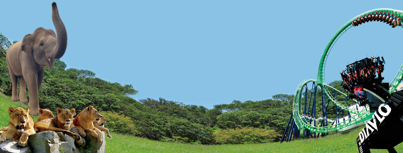 姫路セントラルパークのサファリゾーンとジェットコースターを組み合わせた1dayパス用背景ビジュアル。