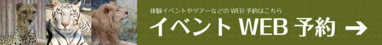 体験イベントやツアー、サファリバスの予約はこちら！イベントWEB予約