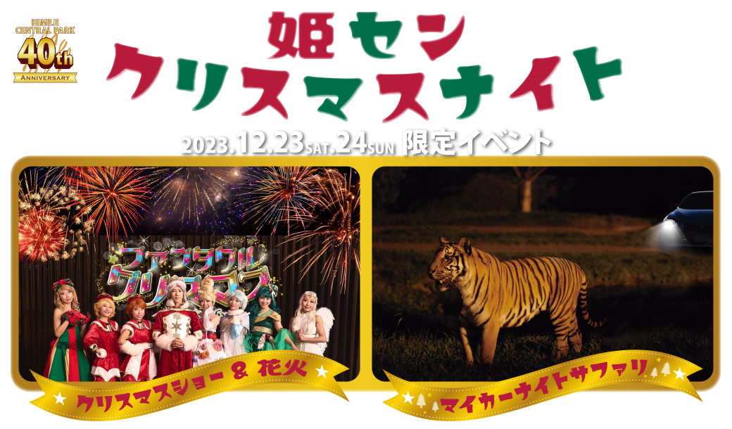 姫センクリスマスナイト