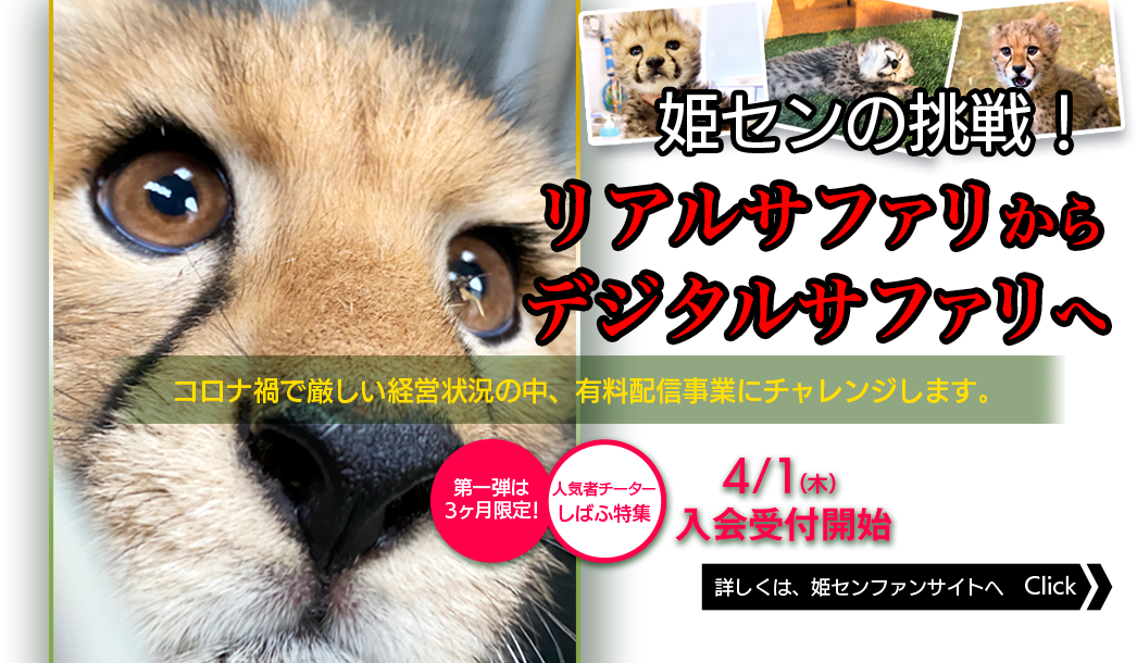 サファリリゾート姫路セントラルパーク サファリリゾート姫路セントラルパーク