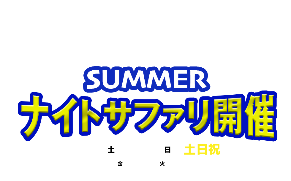 NIGHT SAFARI 姫路セントラルパークのナイトサファリ SUMMER