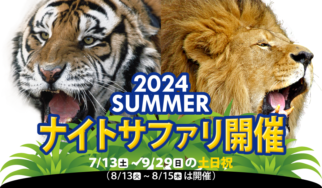 NIGHT SAFARI 姫路セントラルパークのナイトサファリ SUMMER