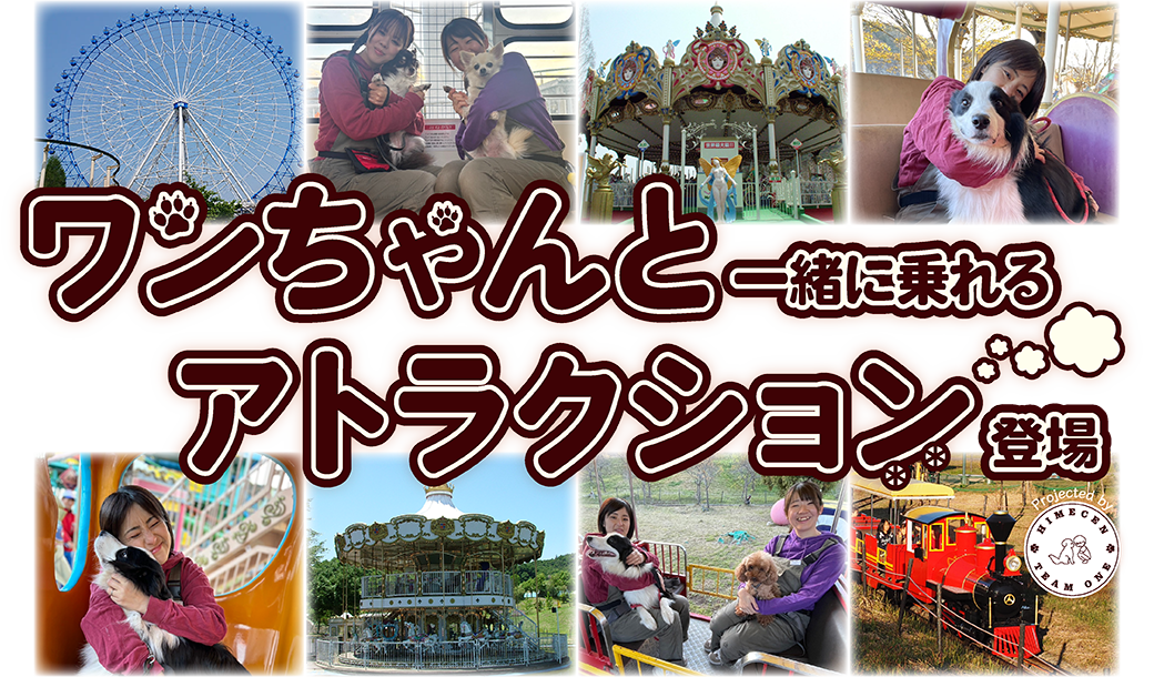 25春ワンワンわんわん