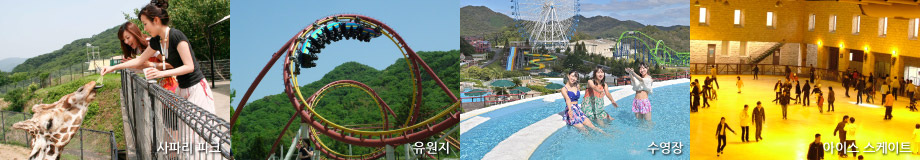 사파리 파크、유원지、수영장(여름철)、아이스 스케이트(겨울철)