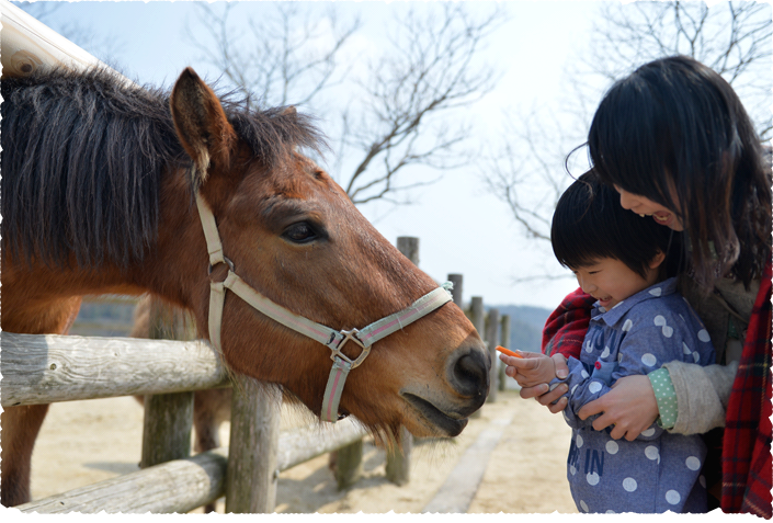 말 먹이 주기