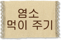 염소 먹이 주기