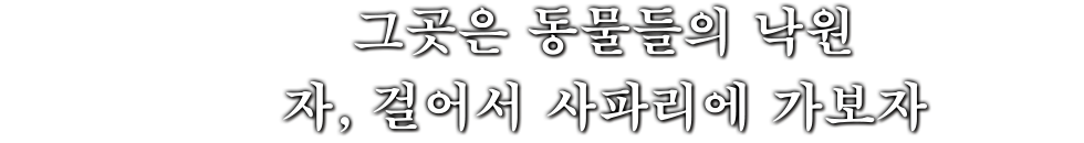 그곳은 동물들의 낙원 자, 걸어서 사파리에 가보자