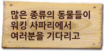 많은 종류의 동물들이 워킹 사파리에서 여러분을 기다리고 있습니다!