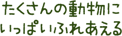 たくさんの動物にいっぱいふれあえる