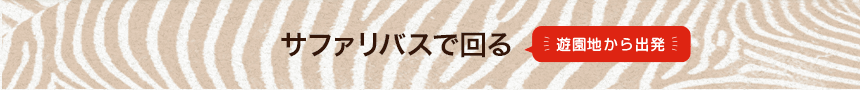 サファリバスで回る