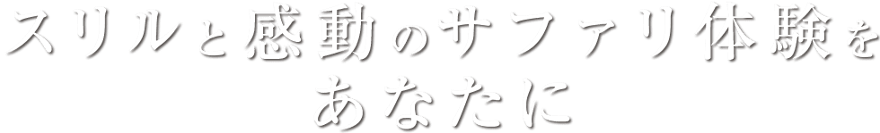 スリルと感動のサファリ体験を あなたに