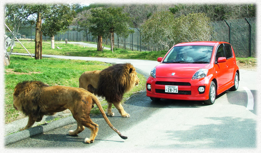 マイカーで回る