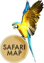 SAFARI MAP