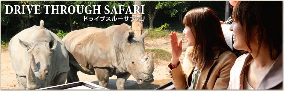 DRIVE THROUGH SAFARI ドライブスルーサファリ