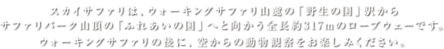 スカイサファリは、ウォーキングサファリ山麓の「野生の国」駅からサファリパーク山頂の「ふれあいの国」へと向かう全長約317mのロープウェーです。ウォーキングサファリの後に、空からの動物観察をお楽しみください。