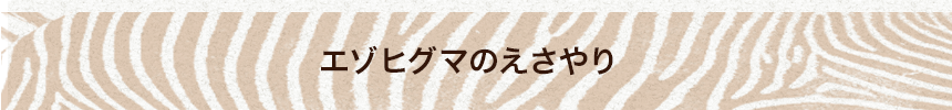 エゾヒグマのえさやり