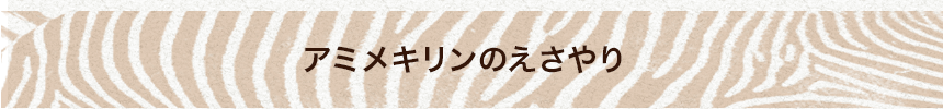 アミメキリンのえさやり