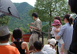 サバンナテラス動物観察