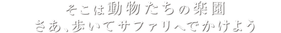 そこは動物たちの楽園 さあ、歩いてサファリへでかけよう