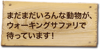 まだまだいろんな動物が、ウォーキングサファリで待っています！