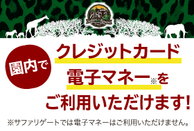 園内でクレジットカード・電子マネーをご利用いただけます！