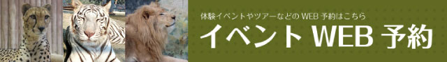 体験イベントやツアー、サファリバスの予約はこちら！イベントWEB予約