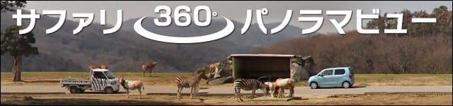 サファリ360°パノラマビュー