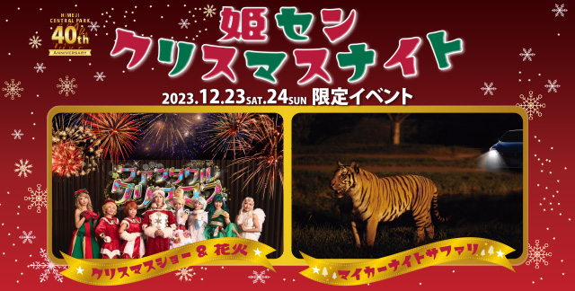 姫センクリスマスナイト
