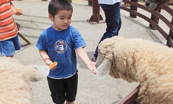 えさやり・乗馬