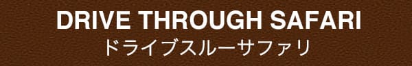 ドライブスルーサファリ