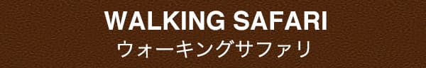 ウォーキングサファリ