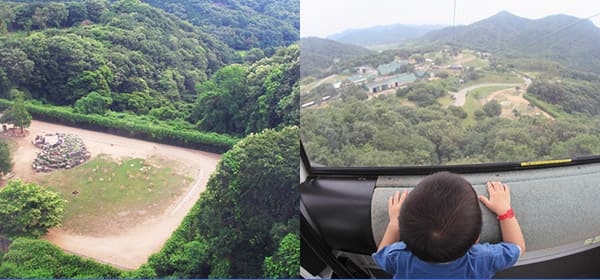 スカイサファリから見下ろした動物たちや景色