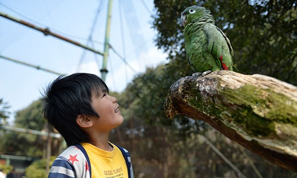 ウォーキングサファリイメージ