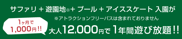 大人12,000円で1年間遊び放題!!