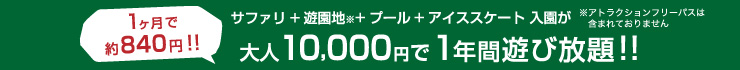 大人10,000円で1年間遊び放題!!