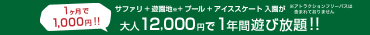 大人12,000円で1年間遊び放題!!