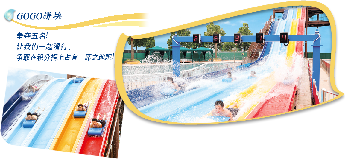 NEW!GOGOスライダー 5人でレース!みんなで一緒にすべって順位を競おう