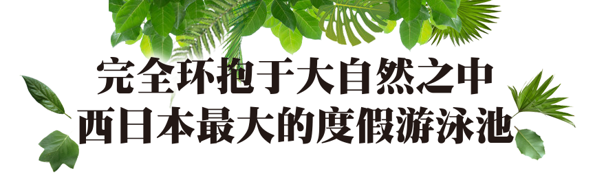 完全环抱于大自然之中 西日本最大的度假游泳池