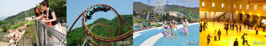 野生动物园、游乐园、游泳池(夏季)、滑冰场(冬季)