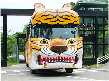 动物园巴士