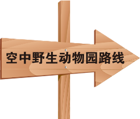 空中野生动物园路线